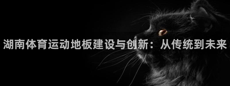 哈哈体育十年：湖南体育运动地板建设与创新：从传统到未来