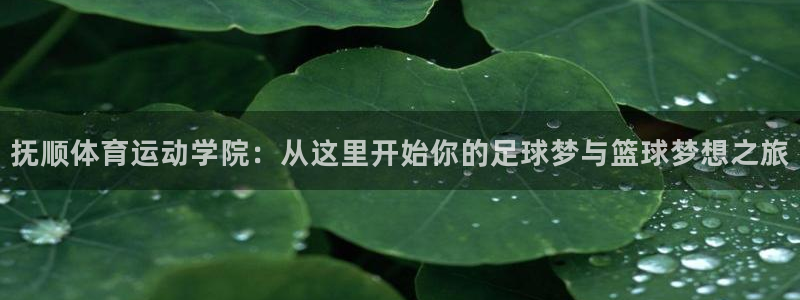 哈哈体育十年：抚顺体育运动学院：从这里开始你的足球梦与篮球梦想之旅