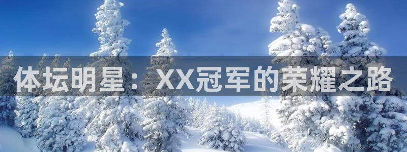 哈哈体育：体坛明星：XX冠军的荣耀之路