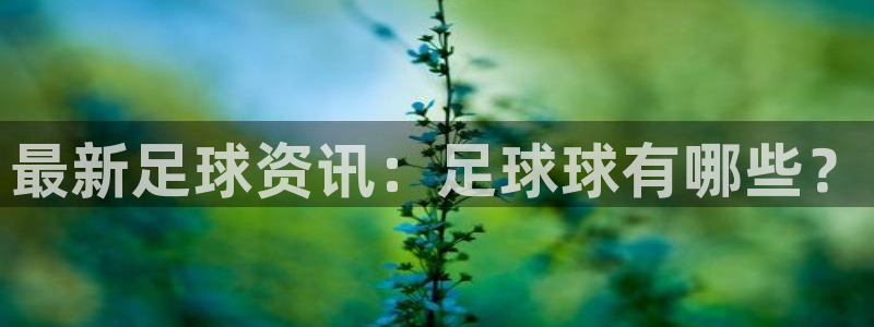哈哈体育