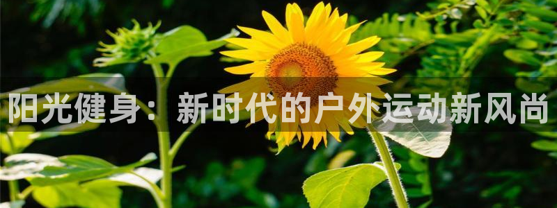 哈哈体育