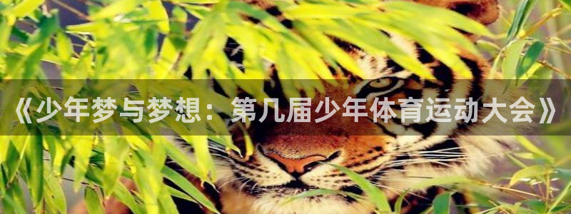 哈哈体育十年