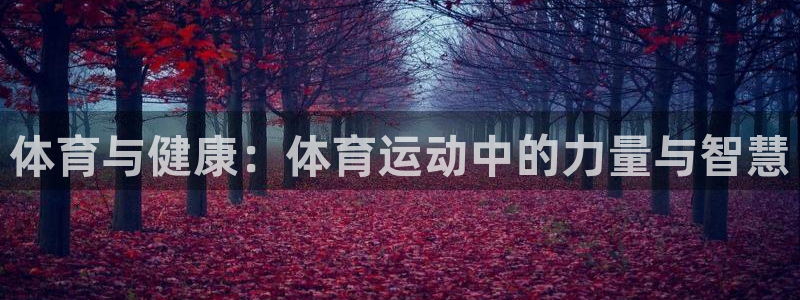 哈哈体育下载