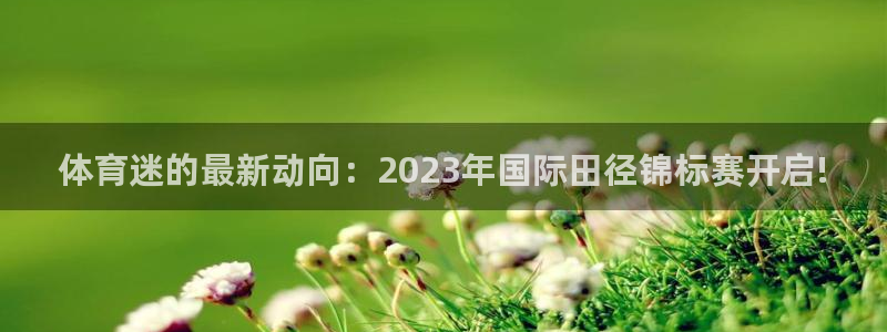 哈哈体育下载