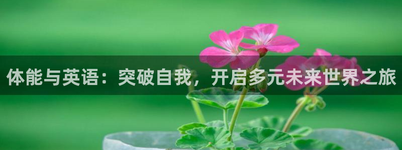 哈哈体育十年