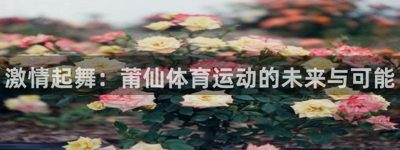 哈哈体育