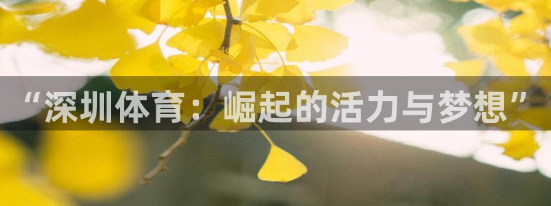 哈哈体育下载：“深圳体育：崛起的活力与梦想”